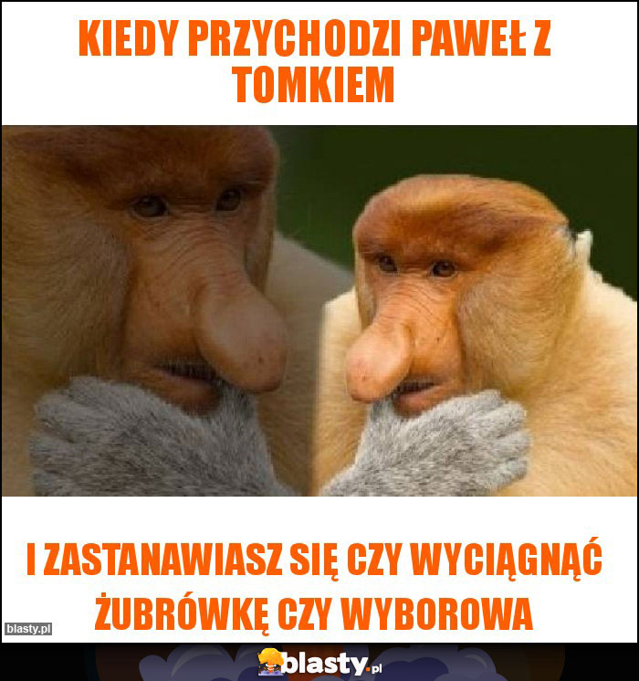 Kiedy przychodzi Paweł z Tomkiem Kiedy przychodzi Paweł z Tomkiem