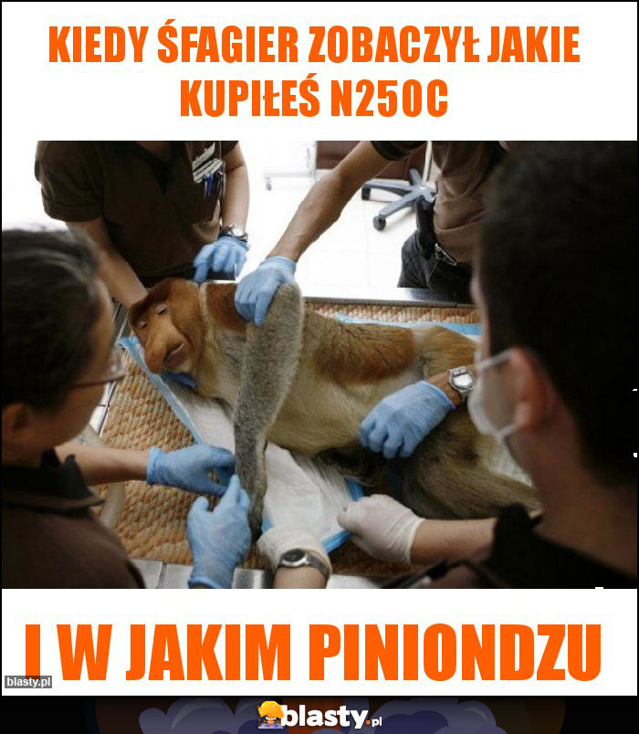 Kiedy śfagier zobaczył jakie kupiłeś N250C Kiedy śfagier zobaczył jakie kupiłeś N250C