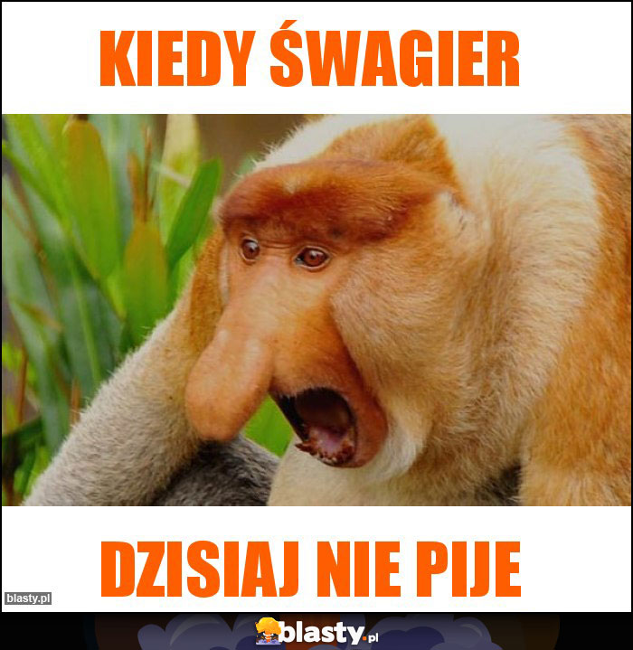 Kiedy śwagier Kiedy śwagier