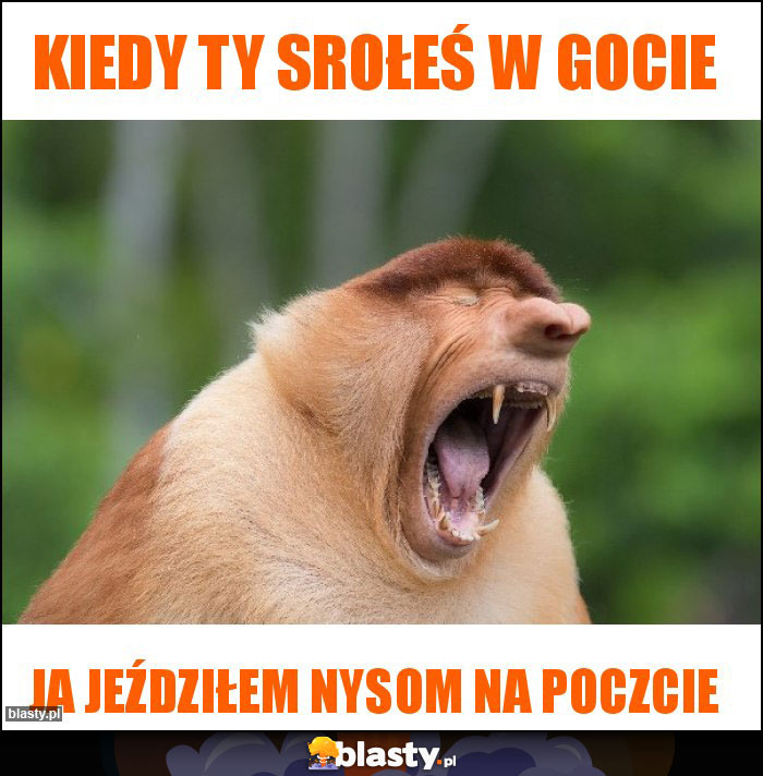Kiedy ty srołeś w gocie Kiedy ty srołeś w gocie