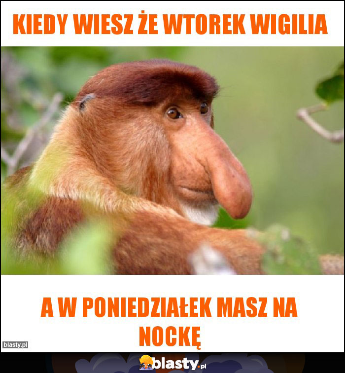 Kiedy wiesz że wtorek Wigilia Kiedy wiesz że wtorek Wigilia
