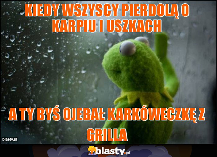 KIEDY WSZYSCY PIERDOLĄ O KARPIU I USZKACH KIEDY WSZYSCY PIERDOLĄ O KARPIU I USZKACH