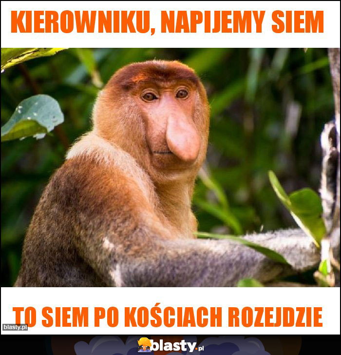 Kierowniku, napijemy siem