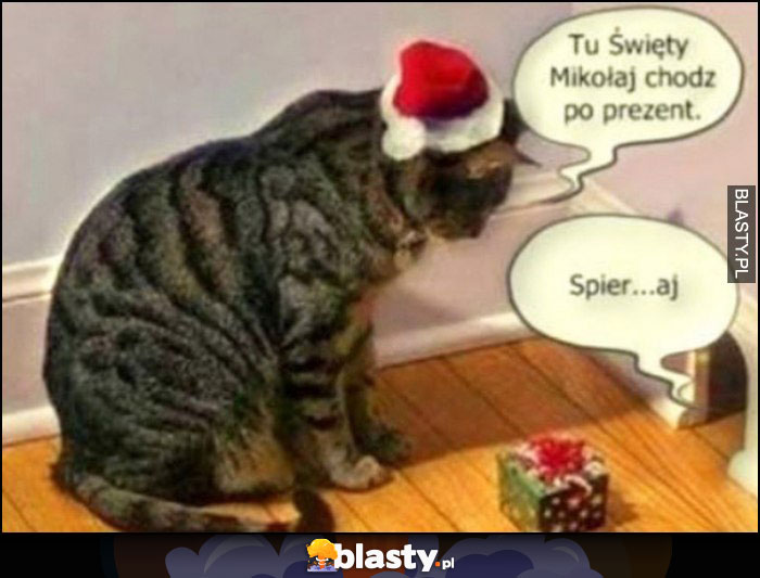 Kot mysz tu Święty Mikołaj chodź po prezent, a spierdzielaj