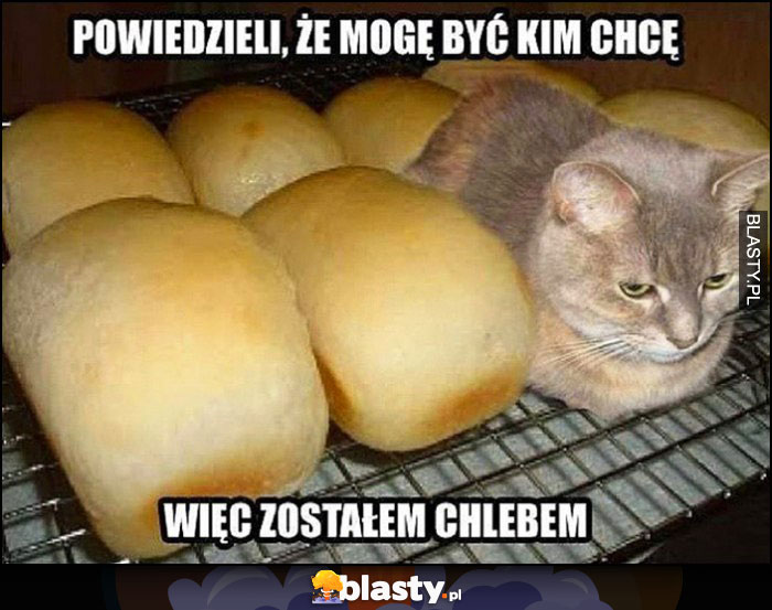 Kot powiedzieli, że mogę być kim chcę więc zostałem chlebem