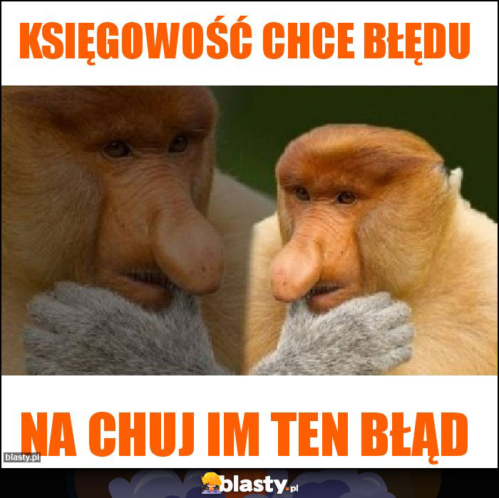 księgowość chce błędu księgowość chce błędu