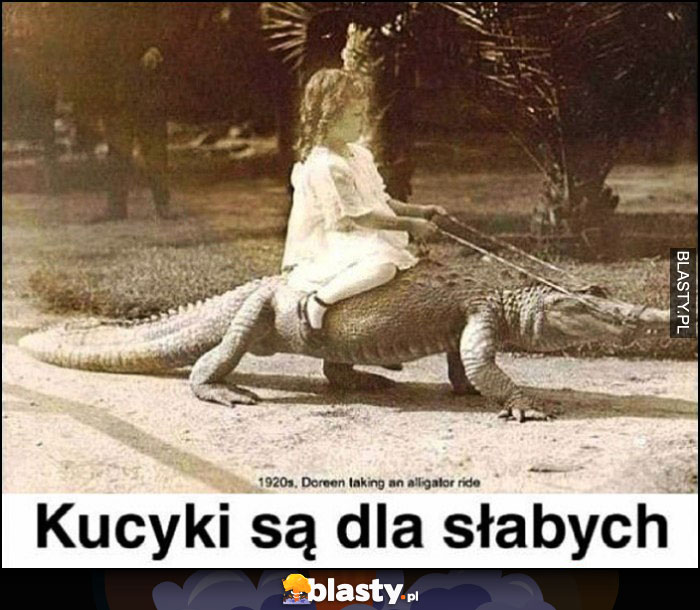 Kucyki są dla słabych, dziewczynka jeszcze na aligatorze