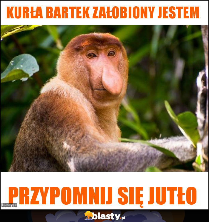 Kurła Bartek załobiony jestem Kurła Bartek załobiony jestem