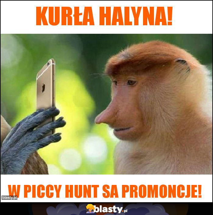 KURŁA HALYNA! KURŁA HALYNA!
