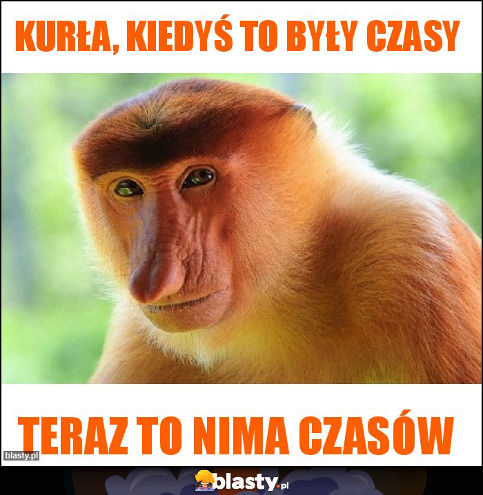 Kurła, kiedyś to były czasy Kurła, kiedyś to były czasy