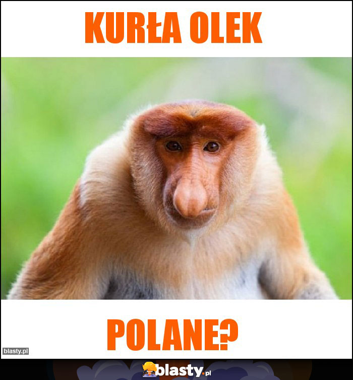 Kurła olek Kurła olek