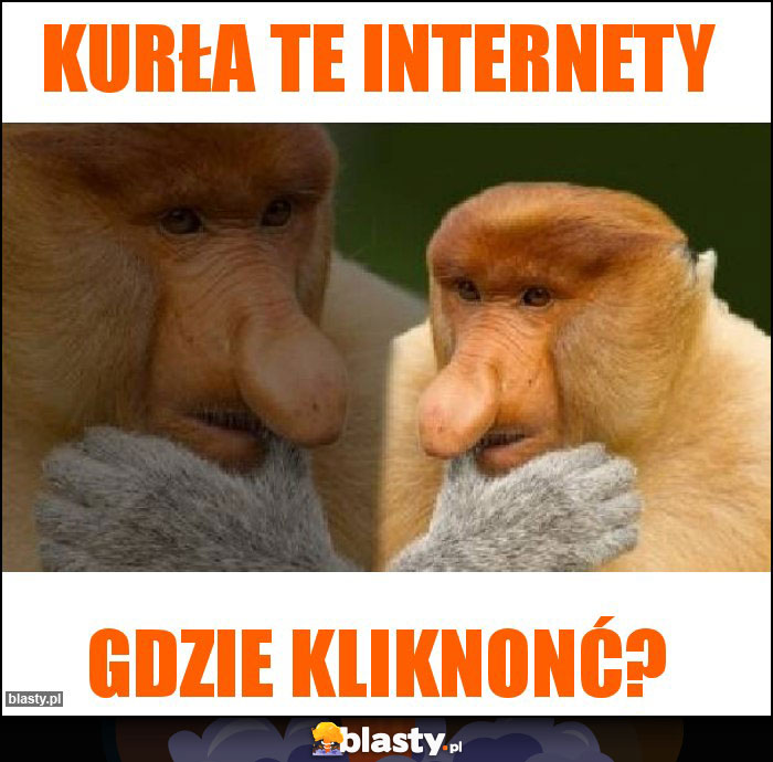 Kurła te Internety