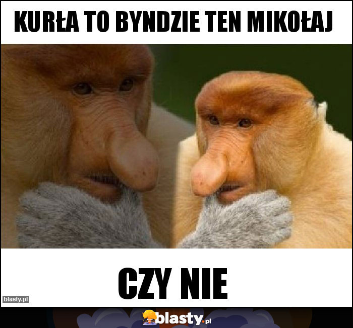 Kurła to byndzie ten mikołaj