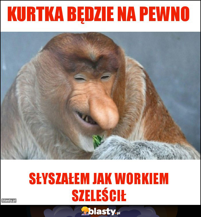 Kurtka będzie na pewno Kurtka będzie na pewno