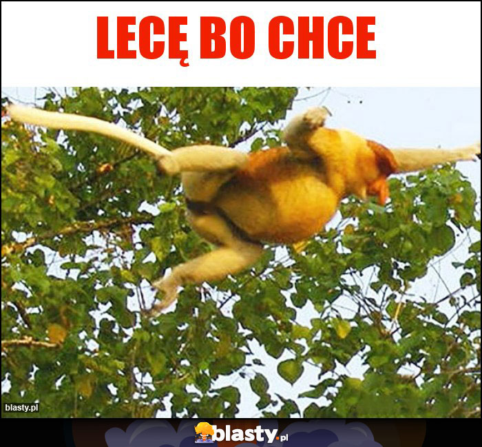 Lecę bo chce Lecę bo chce