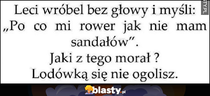 Leci wróbel bez głowy i myśli po co mi rower jak nie mam sandałów? Jaki z tego morał? Lodówką się nie ogolisz