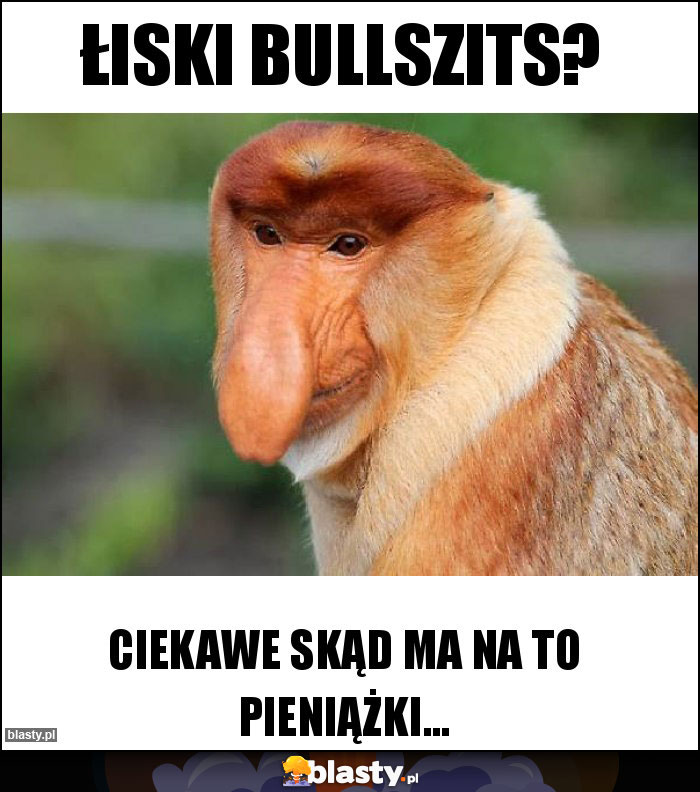 ŁISKI BULLSZITS? ŁISKI BULLSZITS?