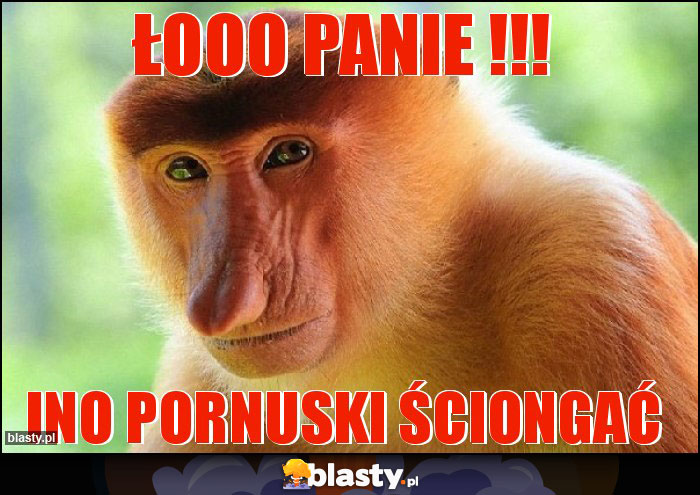 Łooo panie !!! Łooo panie !!!