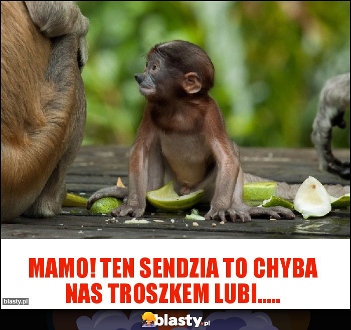 Mamo! Ten sendzia to chyba nas troszkem lubi..... Mamo! Ten sendzia to chyba nas troszkem lubi.....