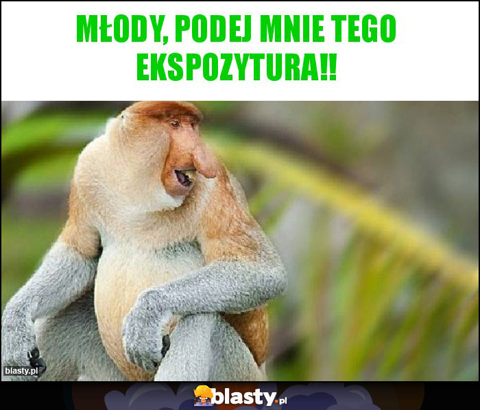 Młody, podej mnie tego Ekspozytura!! Młody, podej mnie tego Ekspozytura!!