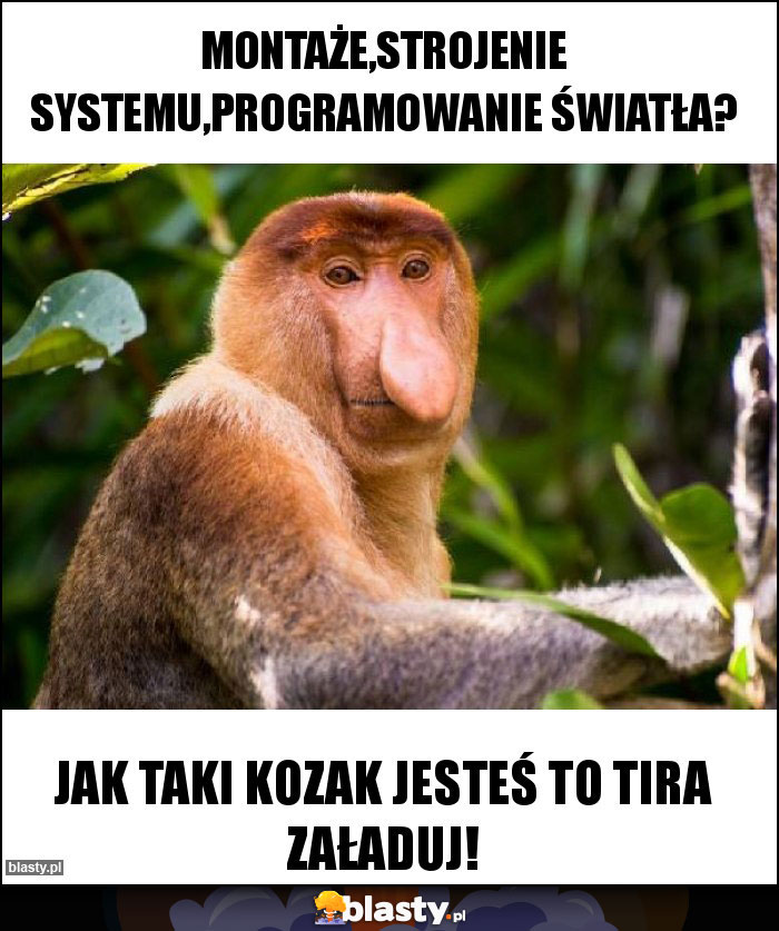 Montaże,strojenie systemu,programowanie światła? Montaże,strojenie systemu,programowanie światła?