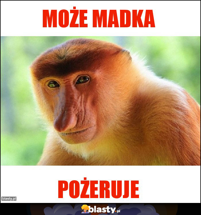 Może madka Może madka