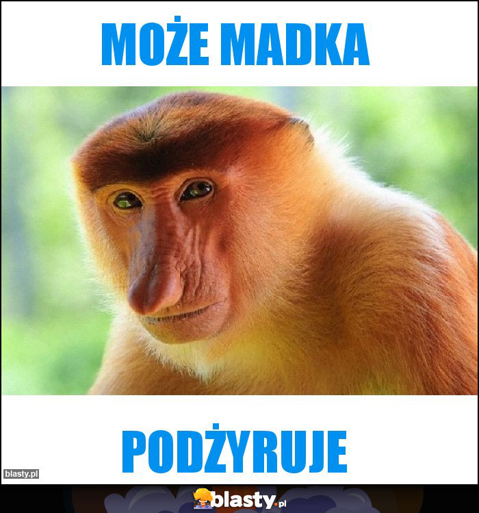 Może madka Może madka