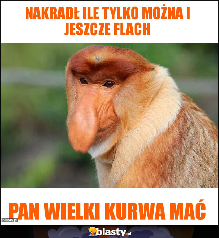 nakradł ile tylko można i jeszcze flach nakradł ile tylko można i jeszcze flach