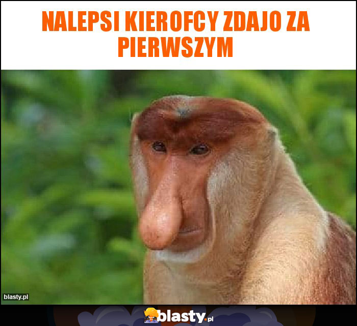 Nalepsi kierofcy zdajo za pierwszym Nalepsi kierofcy zdajo za pierwszym