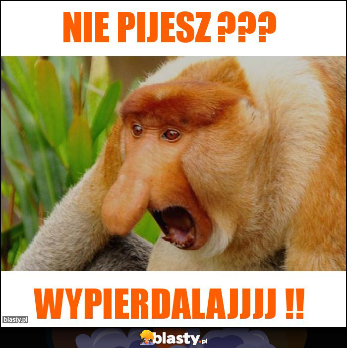 NIE PIJESZ ??? NIE PIJESZ ???