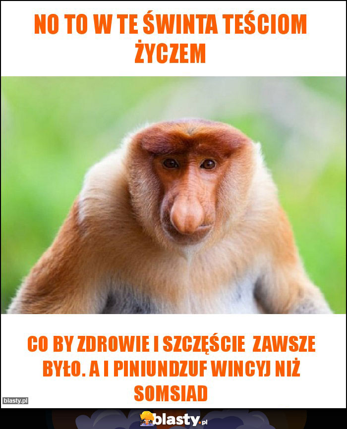 No to w te świnta teściom życzem No to w te świnta teściom życzem