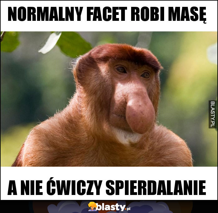 NORMALNY FACET robi masę NORMALNY FACET robi masę