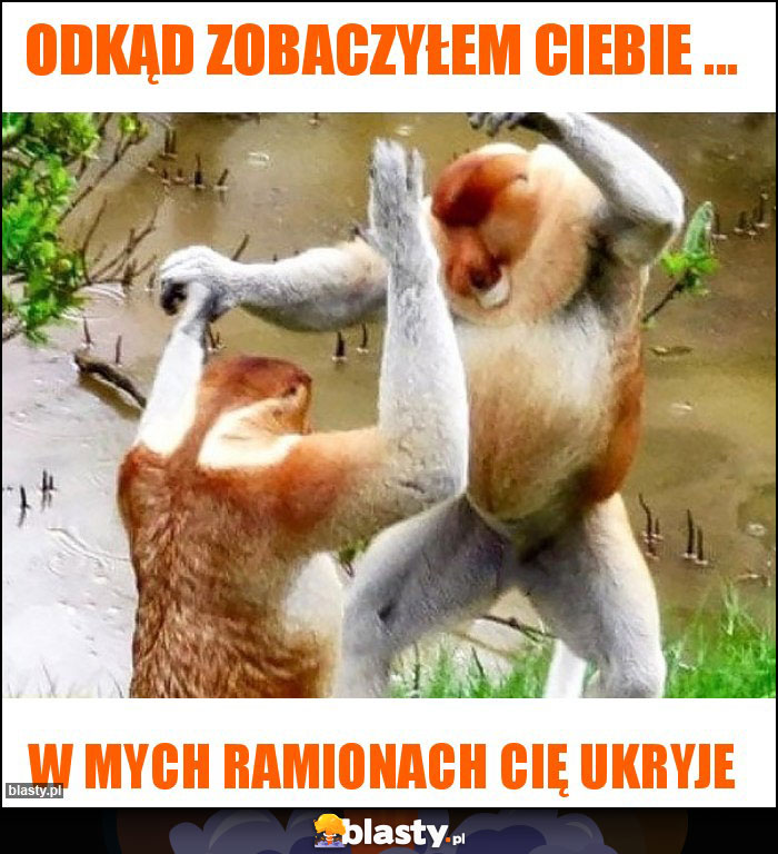 Odkąd zobaczyłem ciebie ... Odkąd zobaczyłem ciebie ...