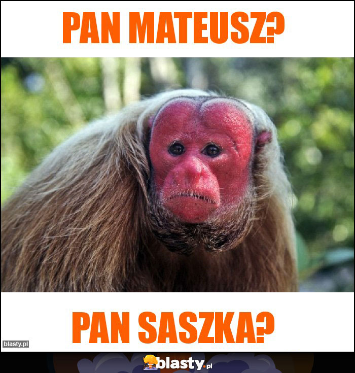 Pan Mateusz?