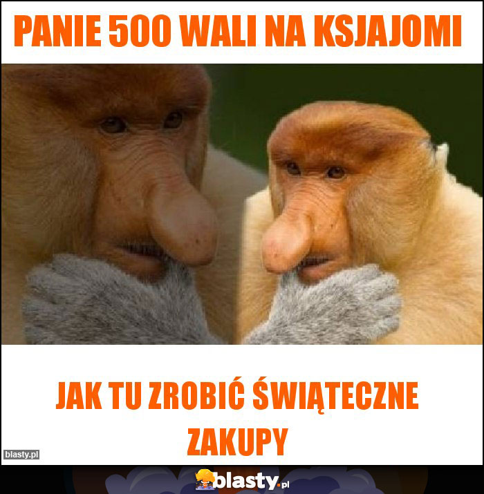Panie 500 wali na Ksjajomi Panie 500 wali na Ksjajomi