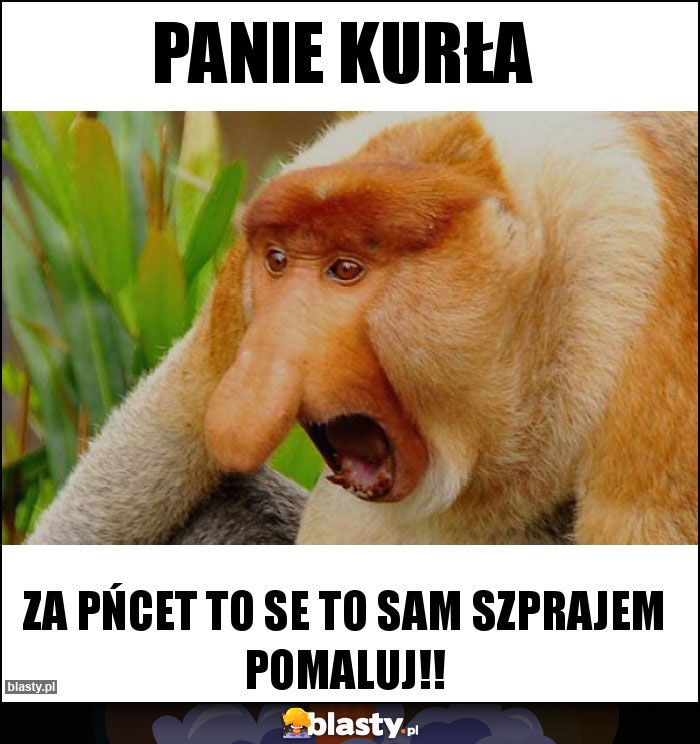 Panie Kurła Panie Kurła
