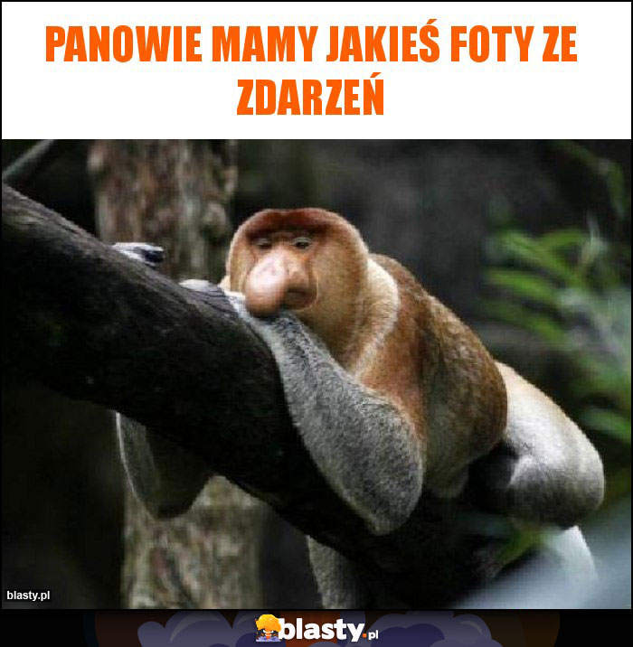 Panowie mamy jakieś foty ze zdarzeń Panowie mamy jakieś foty ze zdarzeń