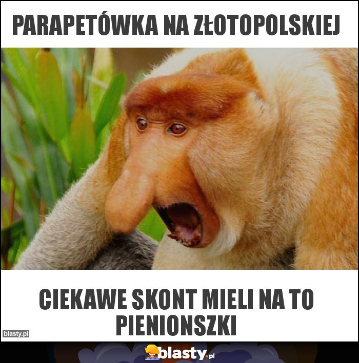 PARAPETÓWKA NA ZŁOTOPOLSKIEJ PARAPETÓWKA NA ZŁOTOPOLSKIEJ