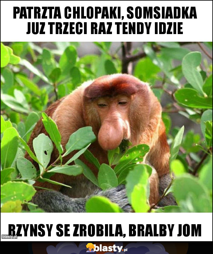Patrzta chlopaki, somsiadka juz trzeci raz tendy idzie Patrzta chlopaki, somsiadka juz trzeci raz tendy idzie