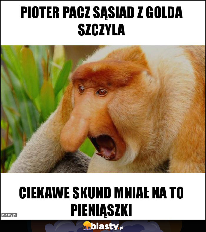 Pioter pacz sąsiad z golda szczyla Pioter pacz sąsiad z golda szczyla