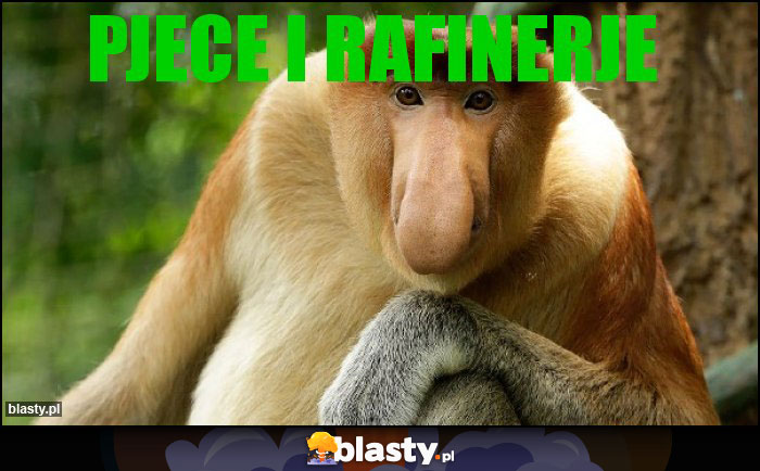 Pjece i rafinerje Pjece i rafinerje