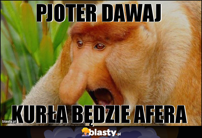 PJOter dawaj PJOter dawaj