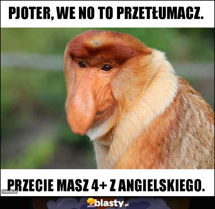 Pjoter, we no to przetłumacz. Pjoter, we no to przetłumacz.