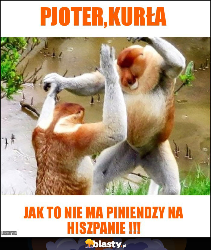 PJOTER,KURŁA PJOTER,KURŁA
