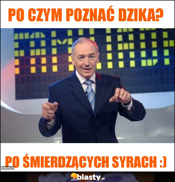Po czym poznać dzika? Po czym poznać dzika?