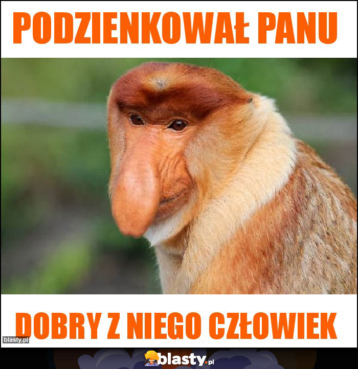 Podzienkował panu Podzienkował panu