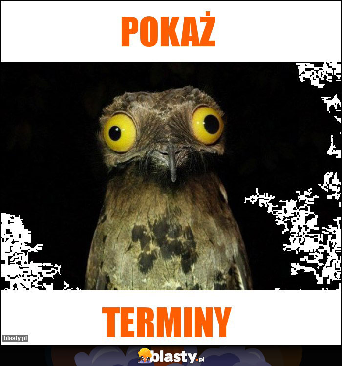Pokaż