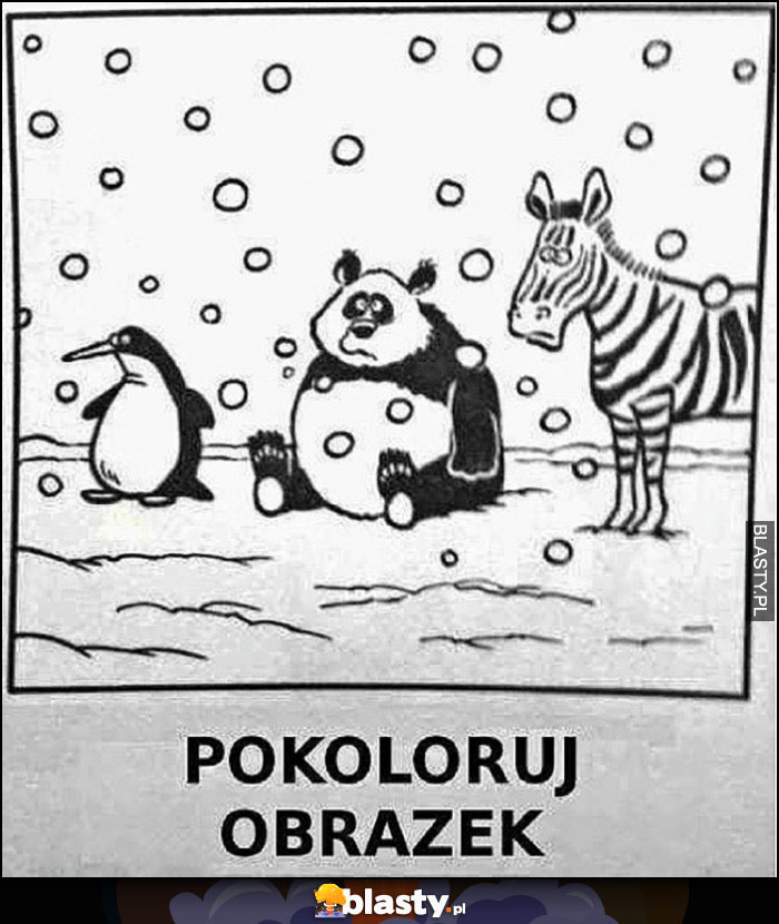 Pokoloruj obrazek pingwin, zebra, panda - same czarno białe