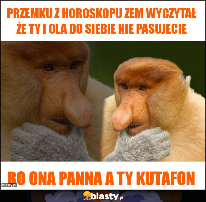 Przemku z horoskopu zem wyczytał że Ty i Ola do siebie nie pasujecie Przemku z horoskopu zem wyczytał że Ty i Ola do siebie nie pasujecie