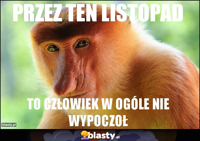 PRZEZ TEN LISTOPAD PRZEZ TEN LISTOPAD